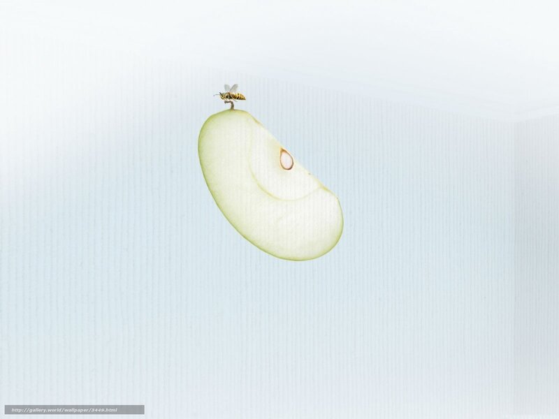 Apple Slice with Bee — White, Minimalist