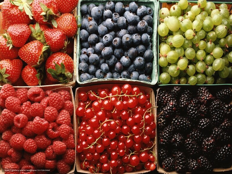 Assorted Berries in Boxes — Red, Fresh, Photograph