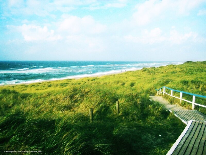 Beach Dunes with Boardwalk — Green, Serene, Afternoon