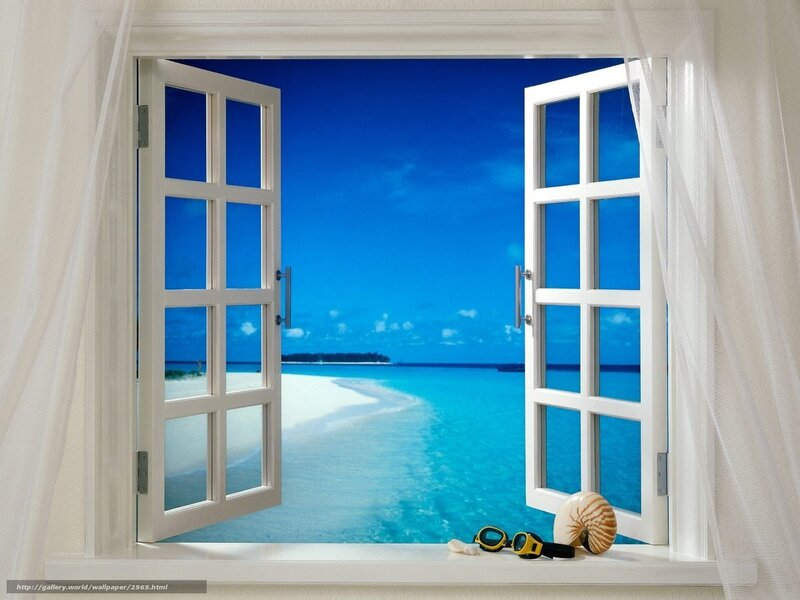 Tropical Beach View — Blue, Serene, Afternoon, Photograph, Seashell, Goggles