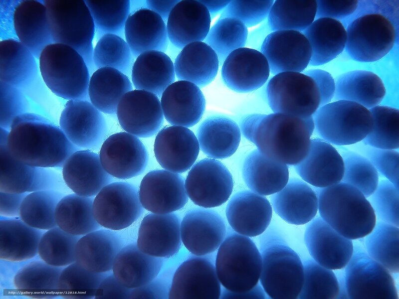 Blue Cotton Balls — Calm