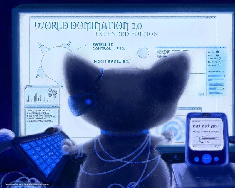 cat with computer interface