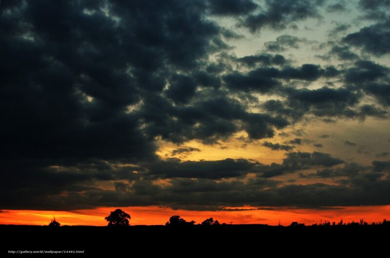 Silhouetted Trees at Sunset — Orange, Dramatic, Photograph, Clouds, Sky, Black