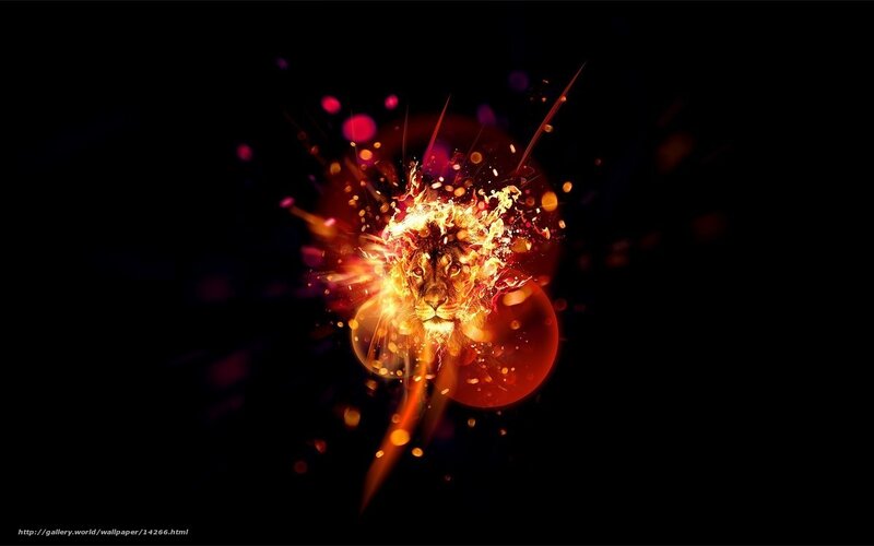 Lion Head Explosion