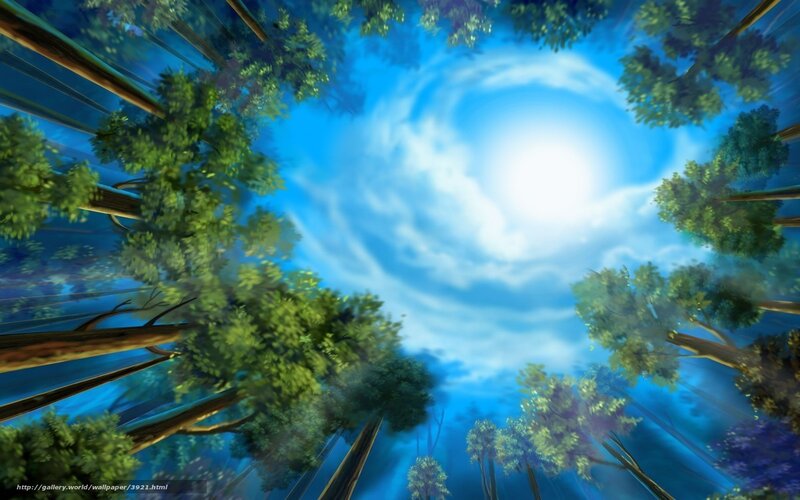 Forest Canopy View — Blue, Serene, Afternoon, Digital Art, Trees