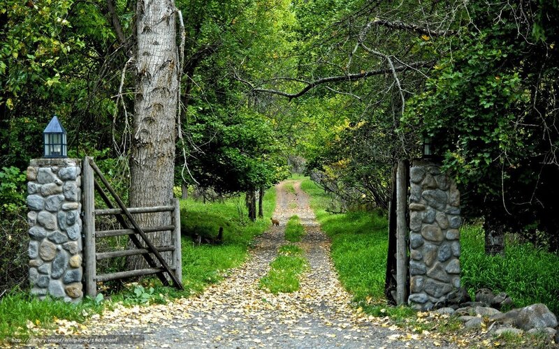 Path Through Wooded Area — Green, Serene, Autumn, Photograph, Stone Pillars