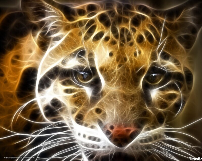 Leopard Face — Yellow, Dramatic, Digital Art, Eyes, Whiskers, Spots, Black