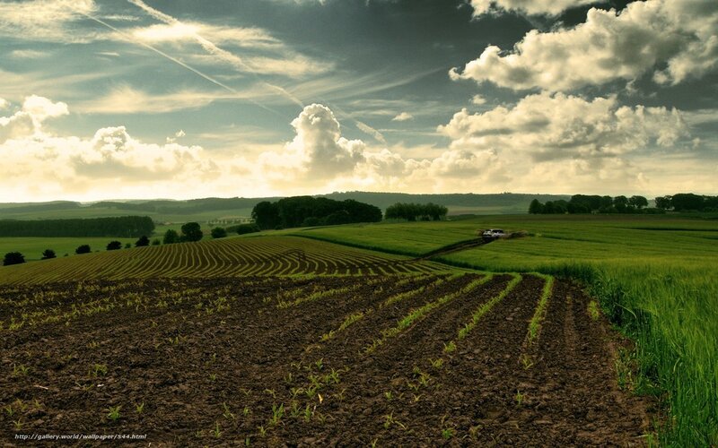 Plowed Fields and Green Crops