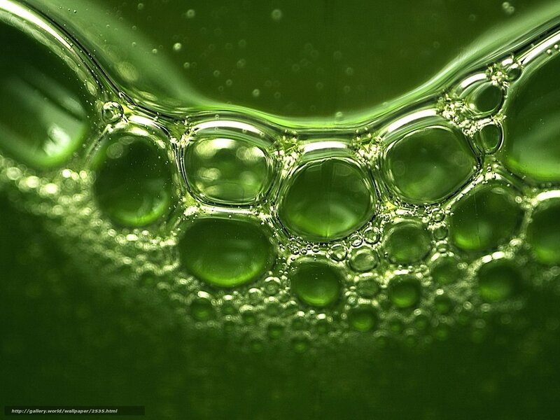 Green Liquid Bubbles — Calm, Photograph, Reflection