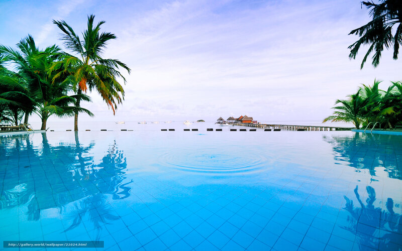 Infinity Pool at Resort — Blue, Serene, Afternoon, Photograph, Palm Trees, Ocean, Bungalows, Dock