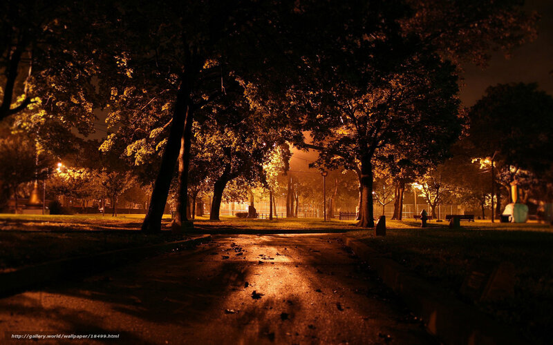Park Path at Night — Orange, Dark, Photograph