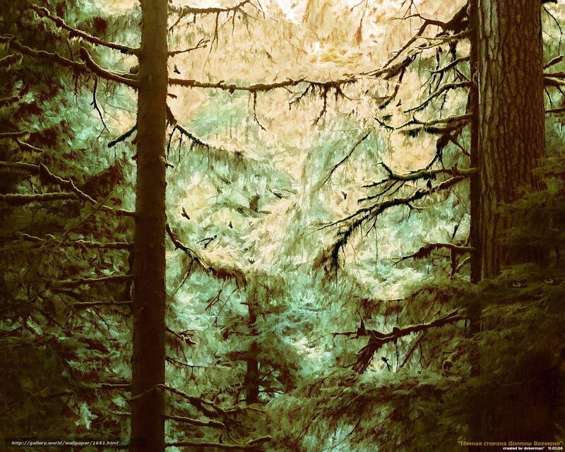 Forest with Sunlight — Green, Serene, Morning, Digital Art, Trees