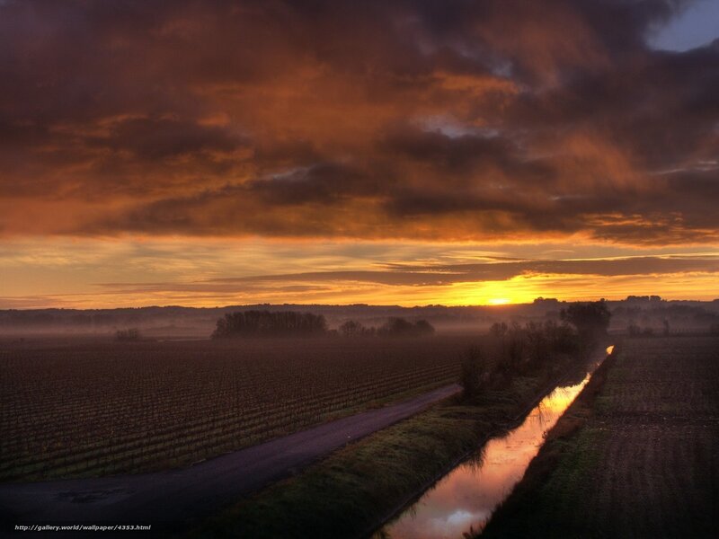 Vineyard at Sunrise — Orange, Dramatic, Photograph