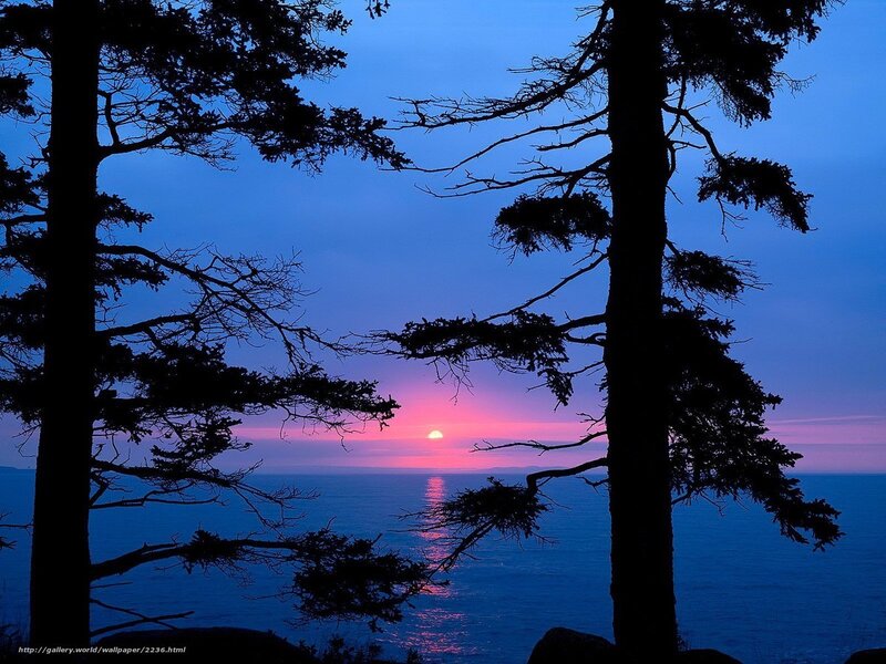 Sunset over Ocean — Blue, Serene, Photograph, Trees, Sky, Purple