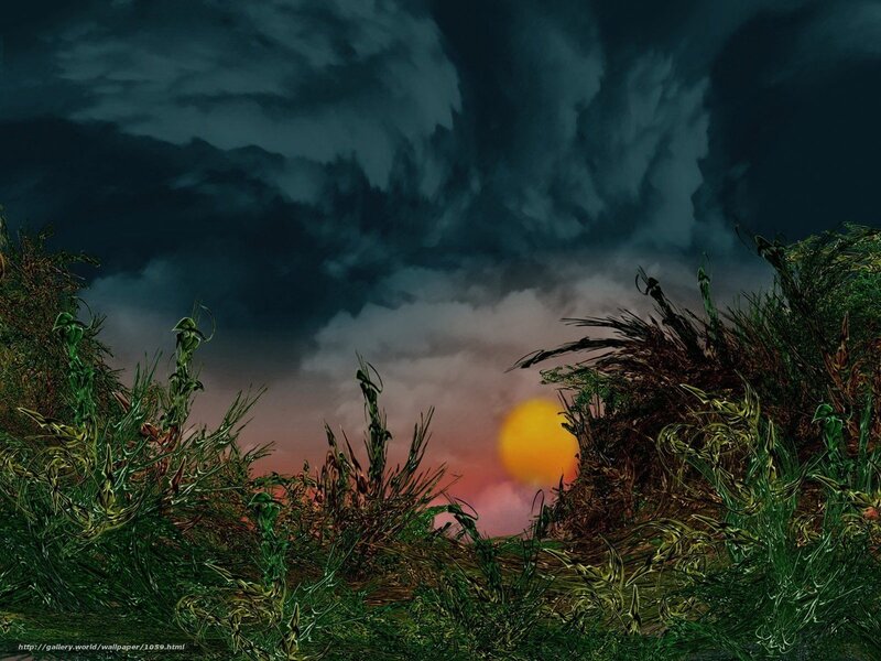 Sunset over Grassy Field — Green, Dramatic, Digital Art, Sun