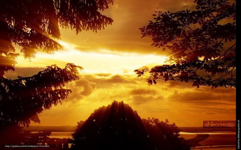 Sunset over Silhouetted Trees — Orange, Dramatic, Photograph, Sky, Clouds, Water