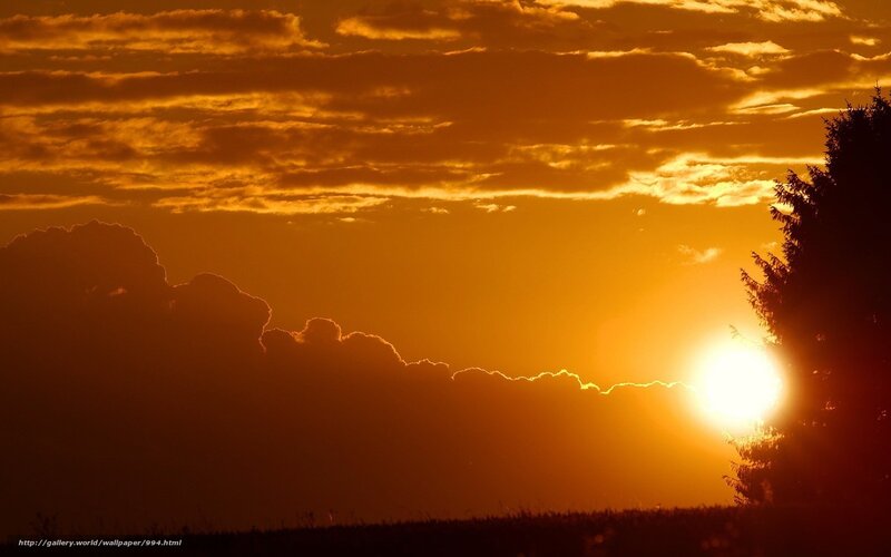Sun Setting Behind Clouds — Orange, Dramatic, Sunset, Photograph, Tree, Sky