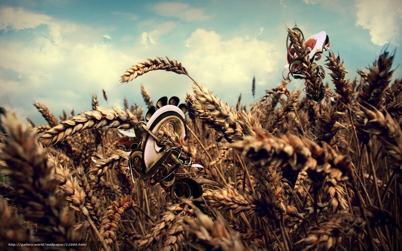 Wheat field with mechanical objects