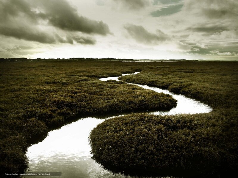 Winding Stream Through Marsh
